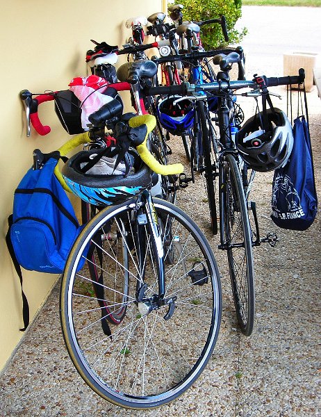 2010-06-24 31 Guiscriff Les montures au repos.JPG